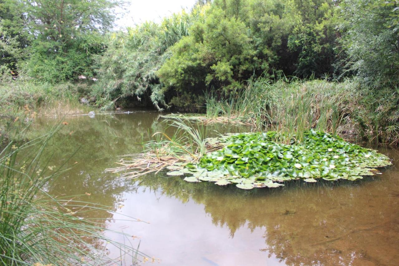 Ikamu'S Lodge Germiston Esterno foto